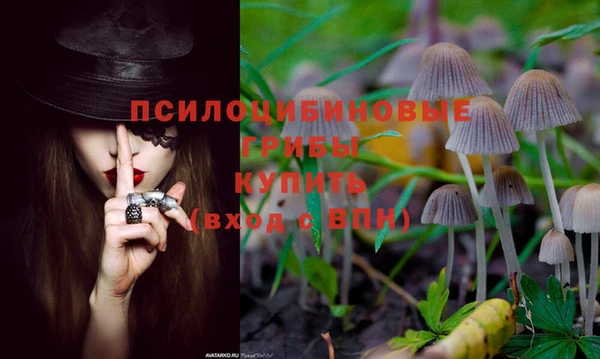 марки lsd Абаза